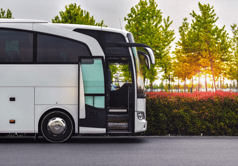 White bus parked near trees at sunset.